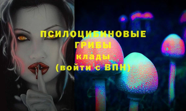 ECSTASY Баксан
