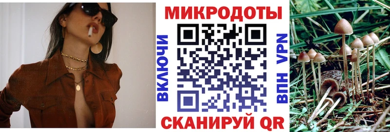 Галлюциногенные грибы GOLDEN TEACHER  Свободный 